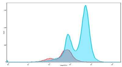 Flow Cytometry: HSP70/HSPA1A Antibody - BSA Free [NBP1-77455]