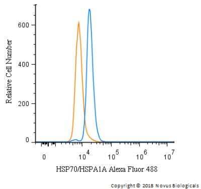 Flow Cytometry: HSP70/HSPA1A Antibody - BSA Free [NBP1-77455]