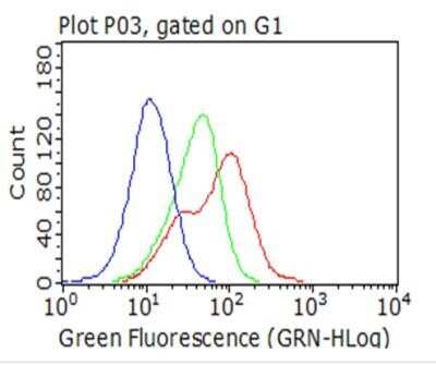 Flow Cytometry: HSP70/HSPA1A Antibody (OTI3G9) - Azide and BSA Free [NBP2-70954]