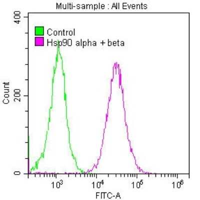 Flow Cytometry: HSP90 Antibody (10D6) [NBP3-15144]