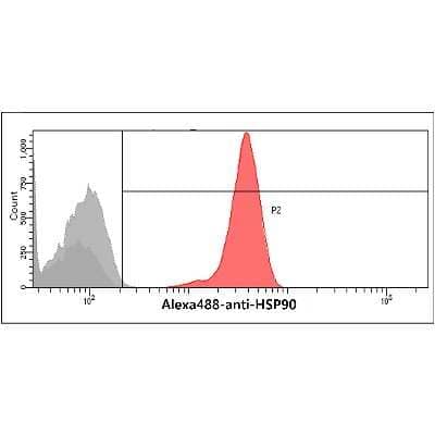 Flow Cytometry: HSP90 Antibody (4F10) - BSA Free [NBP1-04301]