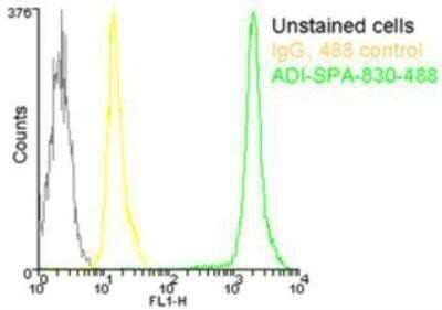 Flow Cytometry: HSP90 Antibody (AC88) [NB100-1972]