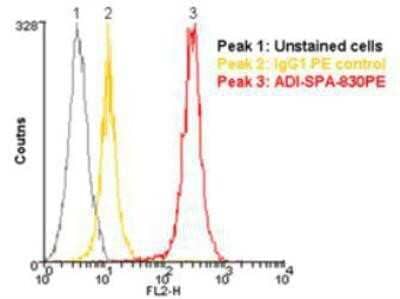Flow Cytometry: HSP90 Antibody (AC88) [NB100-1972]