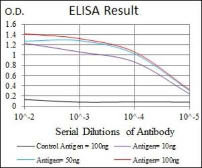 ELISA: HSP90 alpha Antibody (5G5) - BSA Free [NBP2-22208]