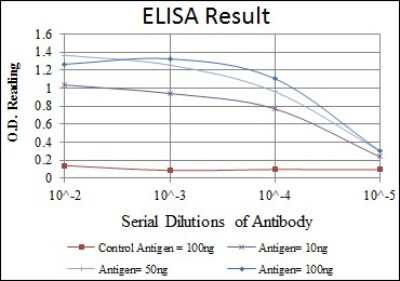 ELISA: HSP90 beta Antibody (5G4) - BSA Free [NBP2-37590]
