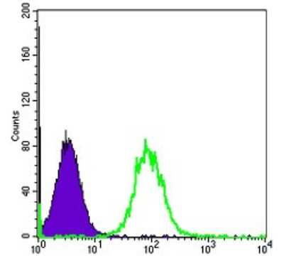 Flow Cytometry: HSP90 beta Antibody (5G4) - BSA Free [NBP2-37590]