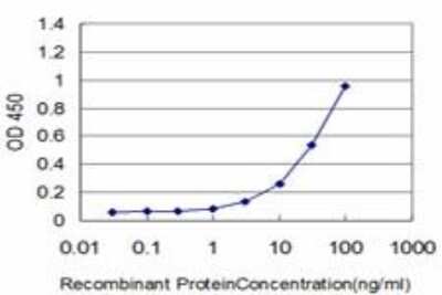 ELISA: HSPB8/HSP22 Antibody (5C3) [H00026353-M03]