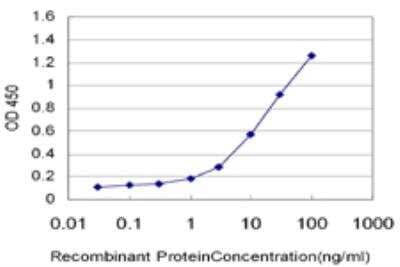 ELISA: HUNK Antibody (2G3) [H00030811-M03]