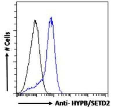 Flow Cytometry: HYPB Antibody [NB100-77334]