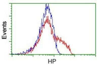 Flow Cytometry: Haptoglobin Antibody (OTI4H5) - Azide and BSA Free [NBP2-70925]