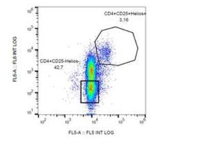 Flow Cytometry: Helios Antibody (22F6) - BSA Free [NBP2-37723]