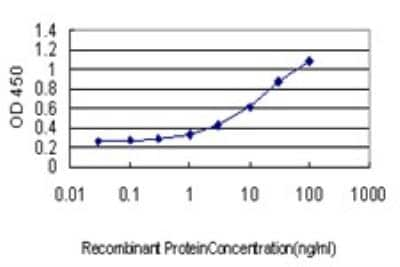 ELISA: Hemoglobin beta Antibody (2H3) [H00003043-M01]