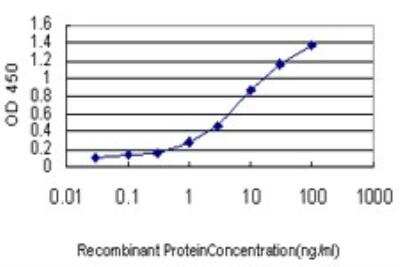 ELISA: Hemoglobin beta Antibody (7B12) [H00003043-M02]