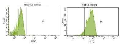 Flow Cytometry: Hepatic Sinusoidal Endothelial Cells Antibody (SE-1) - Azide and BSA Free [NBP2-80759]