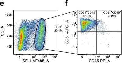 Flow Cytometry: Hepatic Sinusoidal Endothelial Cells Antibody (SE-1) [NB110-68095]