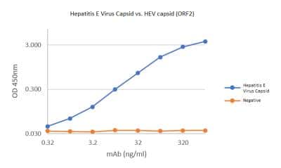 ELISA: Hepatitis E Virus Capsid Antibody (BD6.A2.A9.E11.F8) [NBP3-14856]