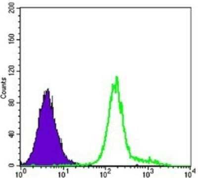 Flow Cytometry: Hexokinase 1 Antibody (3A10) - BSA Free [NBP1-51644]