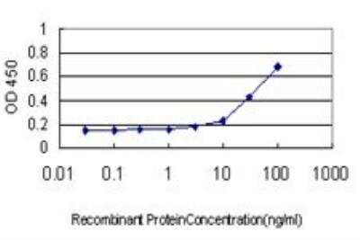 ELISA: Hip Antibody (5D11) [H00064399-M01]