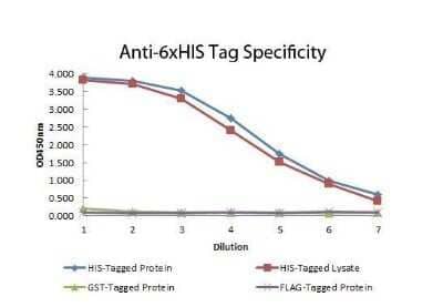 ELISA: His Tag Antibody (33D10.D2.G8) [NBP1-42781]