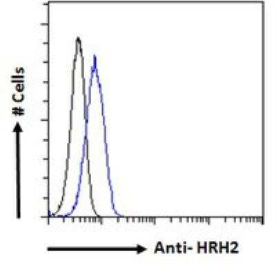 Flow Cytometry: Histamine H2R Antibody [NB600-812]