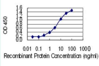 ELISA: Histamine N-Methyltransferase/HNMT Antibody (2G24) [H00003176-M12-50ug]