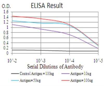 ELISA: Histone Deacetylase 2/HDAC2 Antibody (4C10C3) - BSA Free [NBP2-52479]