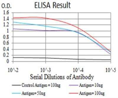 ELISA: Histone Deacetylase 4/HDAC4 Antibody (5E4A5) - BSA Free [NBP2-52480]