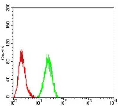 Flow Cytometry: Histone Deacetylase 4/HDAC4 Antibody (5E4A5) - BSA Free [NBP2-52480]