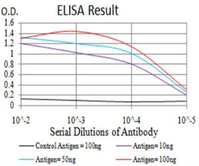 ELISA: Histone Deacetylase 4/HDAC4 Antibody (7E2E6) - BSA Free [NBP2-52481]