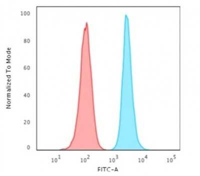 Flow Cytometry: H1F0 Antibody (1415-1) [NBP2-45181]