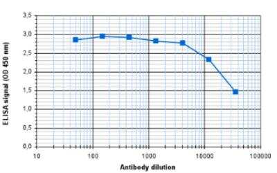 ELISA: Histone H2B Antibody [NBP2-59270]