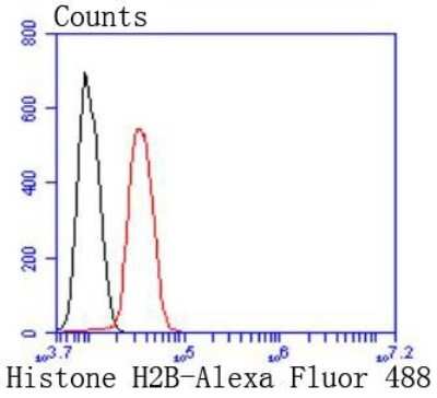 Flow Cytometry: Histone H2B Antibody (SD20-63) [NBP2-67753]