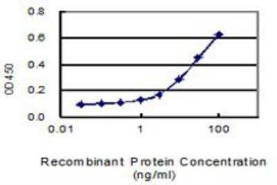 ELISA: Histone H3.3B Antibody (2D7-H1) [H00003021-M01]
