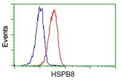 Flow Cytometry: HSPB8/HSP22 Antibody (OTI1E3) [NBP2-02576]