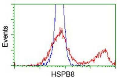Flow Cytometry: HSPB8/HSP22 Antibody (OTI1E3) [NBP2-02576]