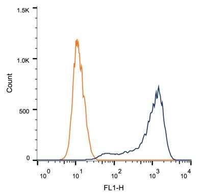 Flow Cytometry: HSP27 Antibody (6H11) [NBP2-25149]