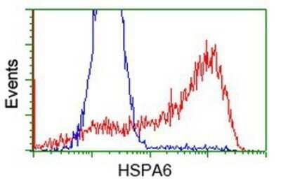 Flow Cytometry: HspA6 Antibody (OTI1H3) - Azide and BSA Free [NBP2-70959]