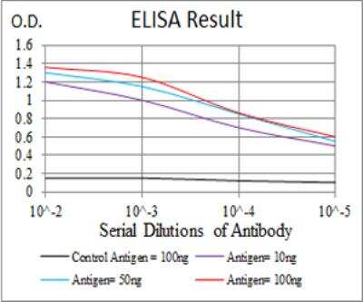 ELISA: HspB2 Antibody (4B9E2) - BSA Free [NBP2-52490]