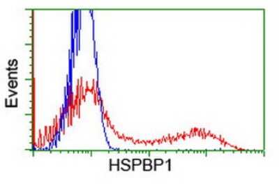 Flow Cytometry: HspBP1 Antibody (OTI1D5) [NBP2-01168]