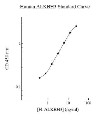 ELISA: Human ALKBH3 ELISA Kit (Colorimetric) [NBP2-60535]