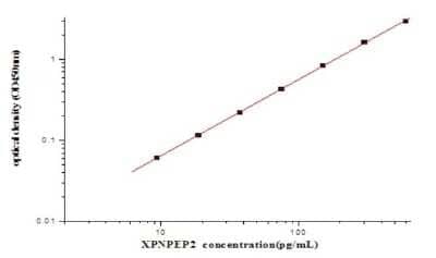 ELISA: Human Aminopeptidase P2/XPNPEP2 ELISA Kit (Colorimetric) [NBP2-80353]