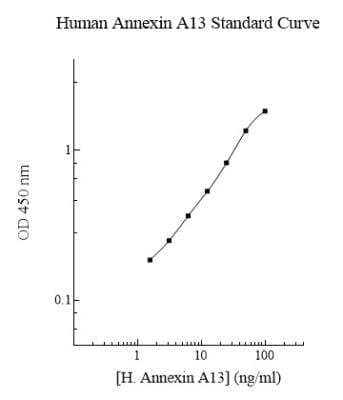 ELISA: Human Annexin A13 ELISA Kit (Colorimetric) [NBP2-60539]