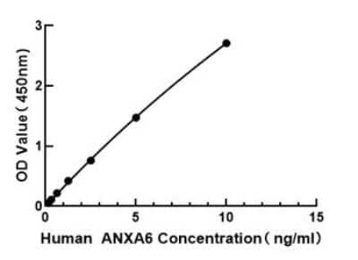 ELISA: Human Annexin A6 ELISA Kit (Colorimetric) [NBP3-18211]