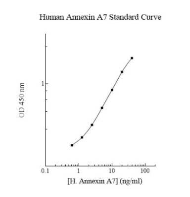 ELISA: Human Annexin A7 ELISA Kit (Colorimetric) [NBP3-18700]