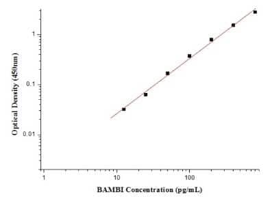 ELISA: Human BAMBI/NMA ELISA Kit (Colorimetric) [NBP2-80328]