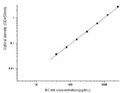 ELISA: Human BCAM/CD239 ELISA Kit (Colorimetric) [NBP2-80336]