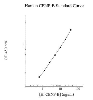 ELISA: Human CENPB ELISA Kit (Colorimetric) [NBP2-60615]