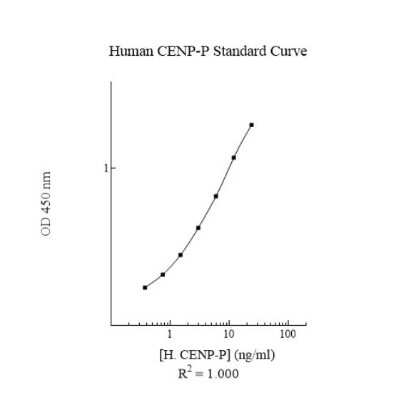 ELISA: Human CENPP ELISA Kit (Colorimetric) [NBP3-18706]