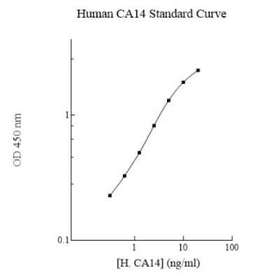 ELISA: Human Carbonic Anhydrase XIV/CA14 ELISA Kit (Colorimetric) [NBP3-18702]