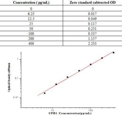 ELISA: Human Carboxypeptidase B1/CPB1 ELISA Kit (Colorimetric) [NBP3-17990]